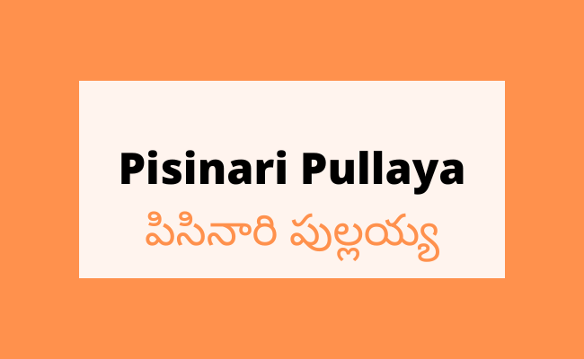 Pisinari Pullaya
